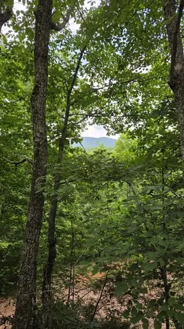 75 Talon Drive Murphy NC 28906