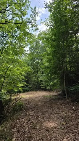 75 Talon Drive Murphy NC 28906