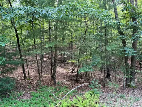 Tbd Sheep Knob Brasstown NC 28906