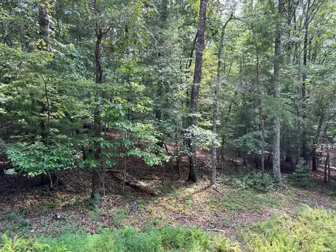 Tbd Sheep Knob Brasstown NC 28906