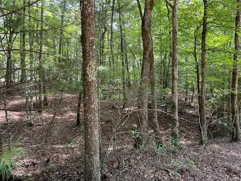 Tbd Sheep Knob Brasstown NC 28906