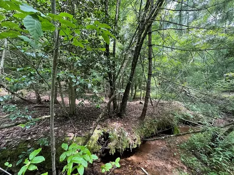 Tbd Sheep Knob Brasstown NC 28906