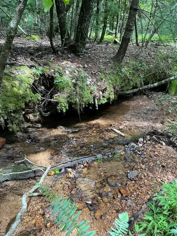Tbd Sheep Knob Brasstown NC 28906