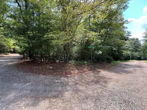 Tbd Sheep Knob Brasstown NC 28906