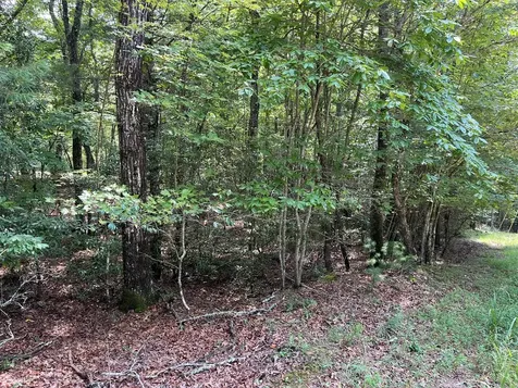 Tbd Sheep Knob Brasstown NC 28906