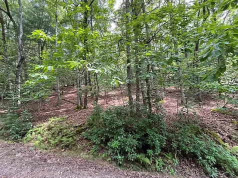 Tbd Sheep Knob Brasstown NC 28906