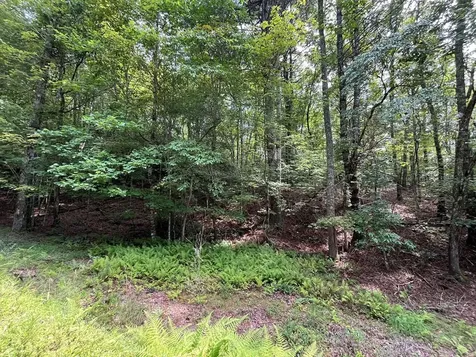 Tbd Sheep Knob Brasstown NC 28906