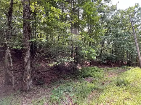 Tbd Sheep Knob Brasstown NC 28906