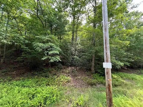 Tbd Sheep Knob Brasstown NC 28906