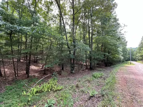 Tbd Sheep Knob Brasstown NC 28906