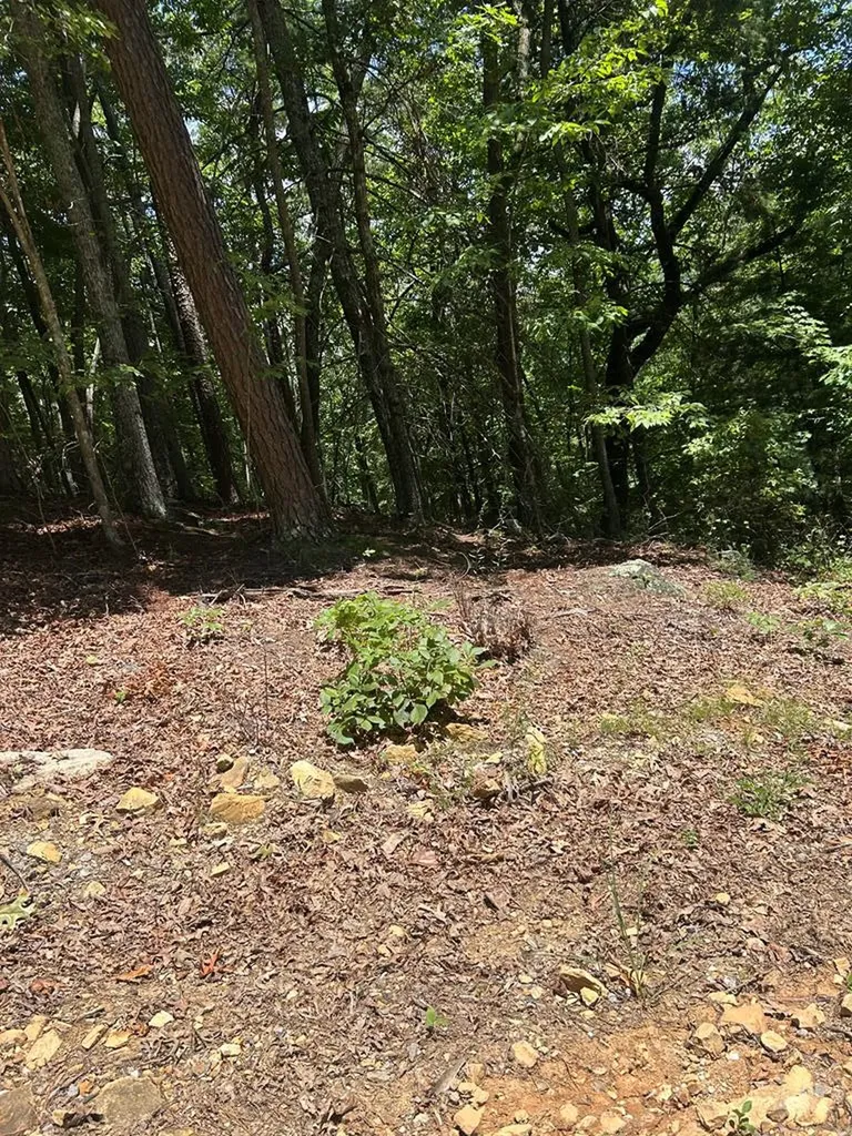 0 Skyview Acres Drive Murphy NC 28906