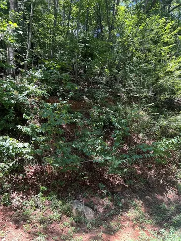 0 Skyview Acres Drive Murphy NC 28906