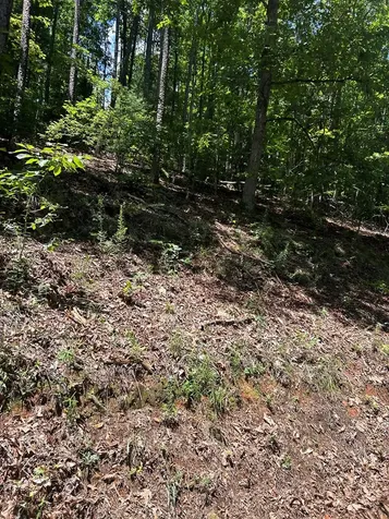 0 Skyview Acres Drive Murphy NC 28906