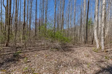 Lots 12+ Tusquittee Crossing Hayesville NC 28904