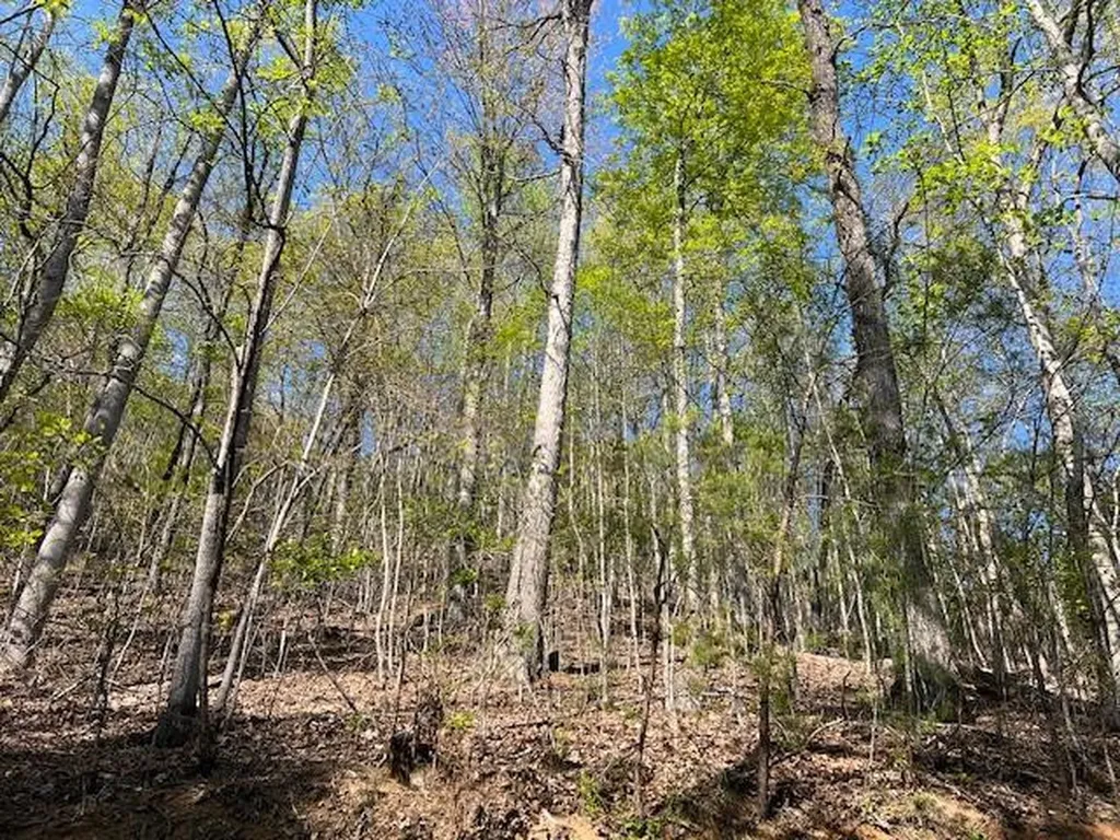 Lot 2b Grandview Drive Hayesville NC 28904