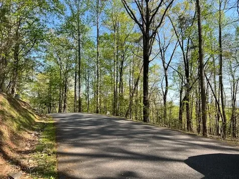 Lot 2b Grandview Drive Hayesville NC 28904