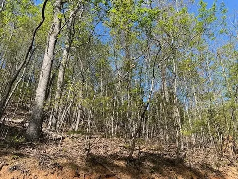 Lot 2b Grandview Drive Hayesville NC 28904
