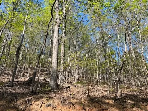 Lot 2b Grandview Drive Hayesville NC 28904