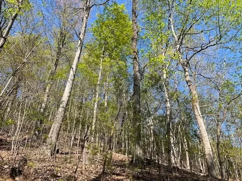 Lot 2b Grandview Drive Hayesville NC 28904