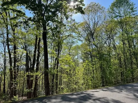 Lot 2b Grandview Drive Hayesville NC 28904