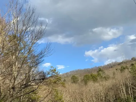 Lot 1 Ivy Log Road Murphy NC 28906