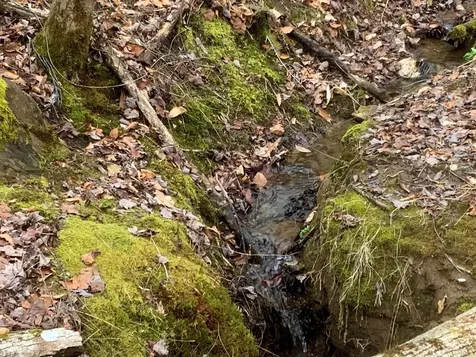 Lot 2 Ivy Log Road Murphy NC 28906