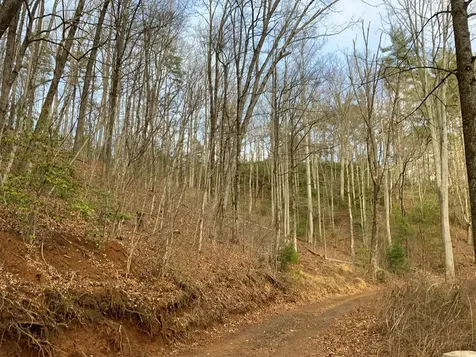 Lot 2 Ivy Log Road Murphy NC 28906