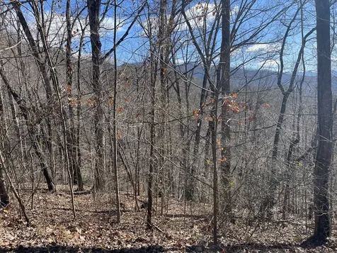 Lot 37c Ash Branch Circle Hayesville NC 28904