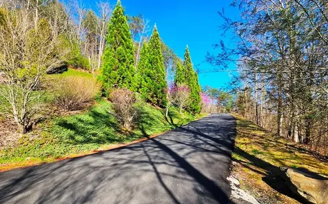 Lot 67 Wilderness Creek Way Murphy NC 28906