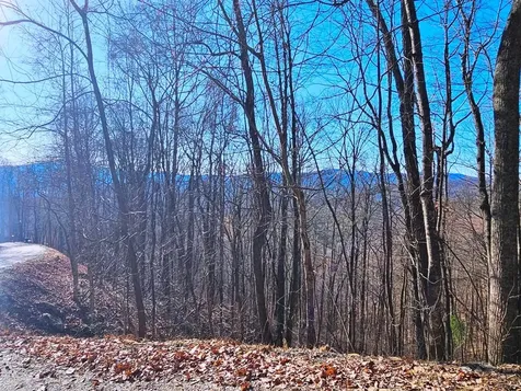 Lot 67 Wilderness Creek Way Murphy NC 28906
