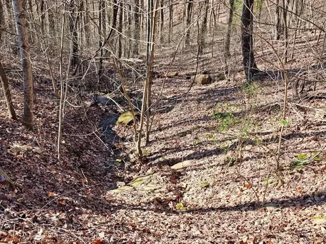 Lot 67 Wilderness Creek Way Murphy NC 28906