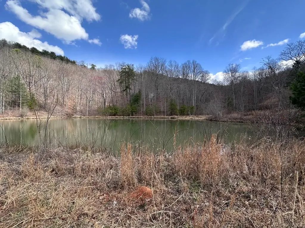 Tbd Pack Mountain Road Murphy NC 28906