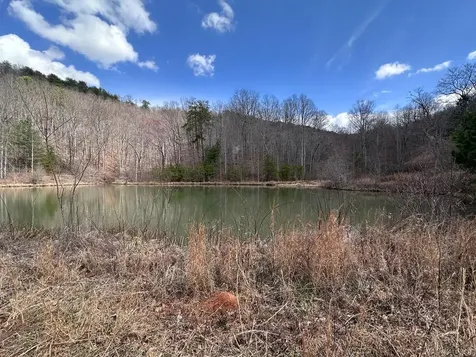 Tbd Pack Mountain Road Murphy NC 28906