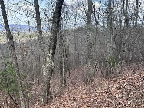 Tbd Pack Mountain Road Murphy NC 28906