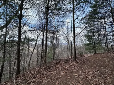 Tbd Pack Mountain Road Murphy NC 28906