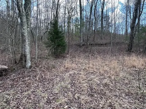 Tbd Pack Mountain Road Murphy NC 28906