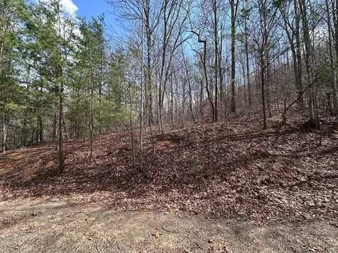 Tbd Pack Mountain Road Murphy NC 28906