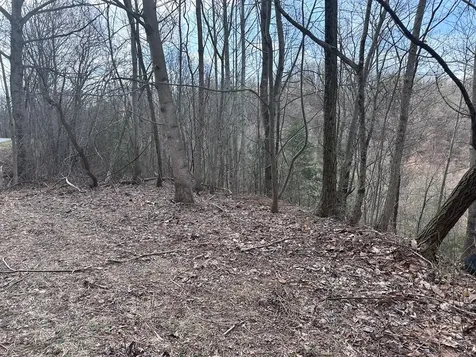 Tbd Pack Mountain Road Murphy NC 28906