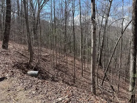 Tbd Pack Mountain Road Murphy NC 28906