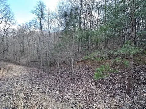 Tbd Pack Mountain Road Murphy NC 28906