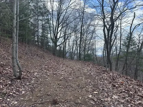 Tbd Pack Mountain Road Murphy NC 28906