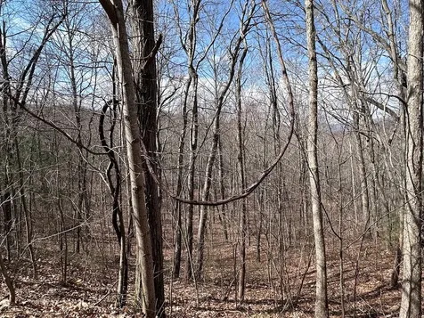 Tbd Pack Mountain Road Murphy NC 28906