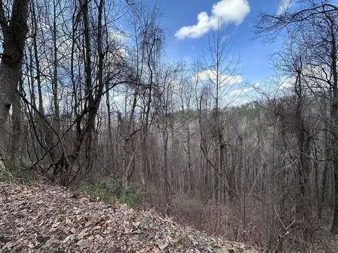 Tbd Pack Mountain Road Murphy NC 28906