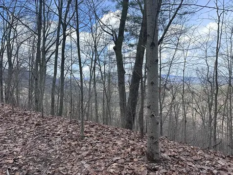 Tbd Pack Mountain Road Murphy NC 28906