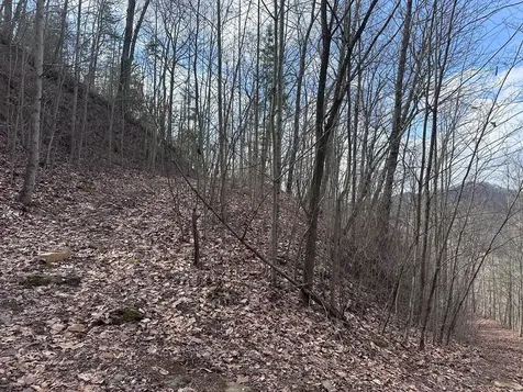Tbd Pack Mountain Road Murphy NC 28906