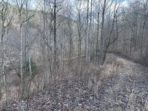 Tbd Pack Mountain Road Murphy NC 28906