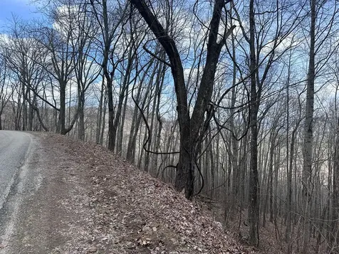 Tbd Pack Mountain Road Murphy NC 28906