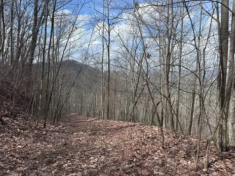 Tbd Pack Mountain Road Murphy NC 28906