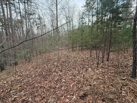 0 Kesrel Ridge Circle Murphy NC 28906
