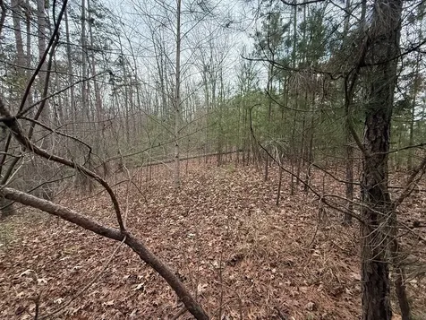 0 Kesrel Ridge Circle Murphy NC 28906